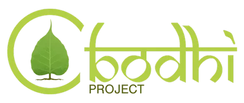 bodhi.webp
